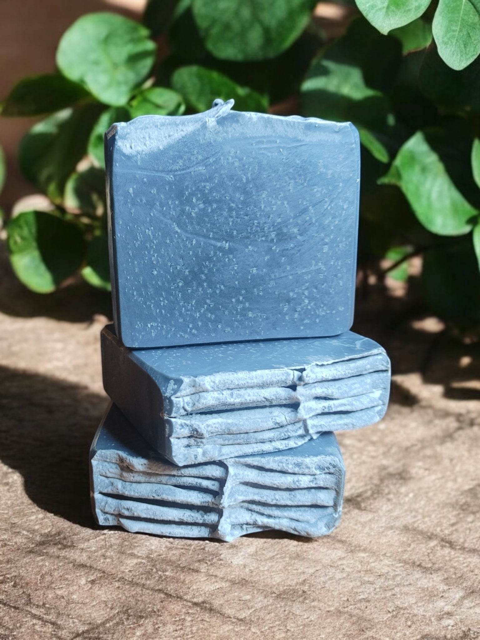 Charcoal and Tea Tree Facial Soap